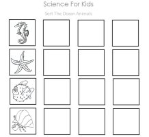 Sort the ocean animals worksheet