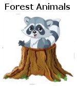 Forest Animals